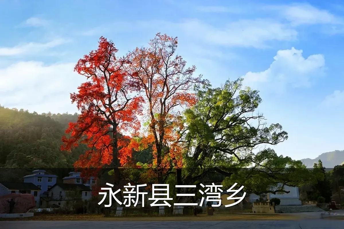 永新县三湾乡