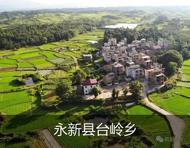 永新县台岭乡